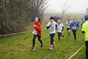 DSC00459 DSC00459